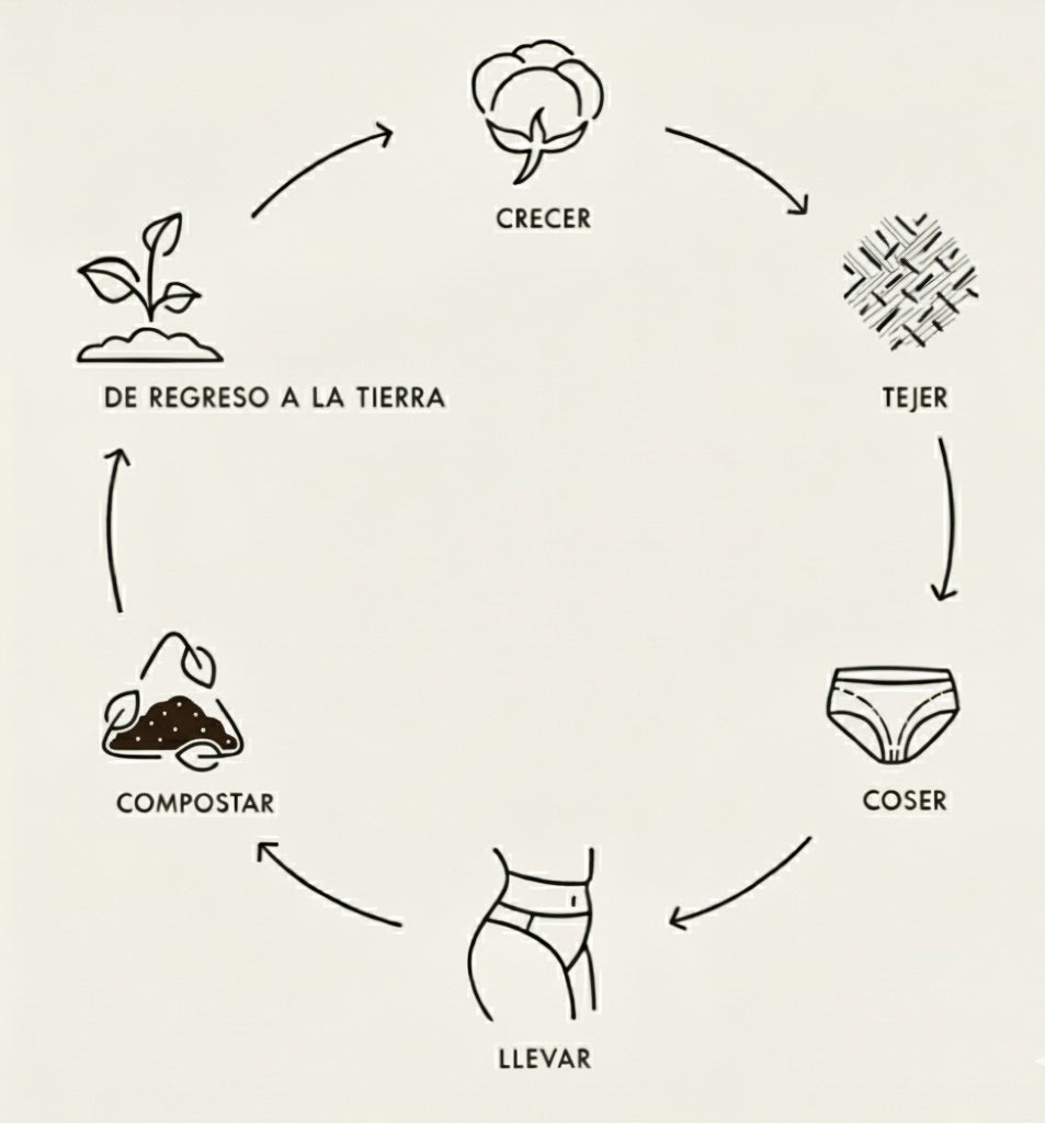 Ropa interior 100% algodón orgánico: biodegradable y compostable